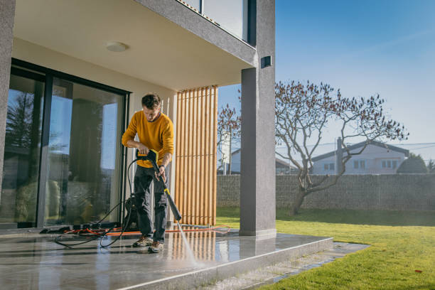 Best Solar Panel Cleaning  in Marlinton, WV
